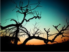 Amanecer en Cuernavaca